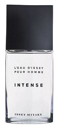 Leau dIssey Intense Masculino Eau de Toilette 