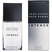 Leau dIssey Intense Masculino Eau de Toilette 