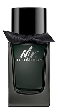 Mr. Burberry for Men Masculino Eau de Parfum 