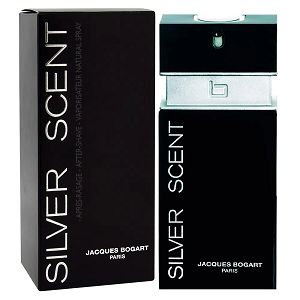 Silver Scent Masculino Eau de Toilette 