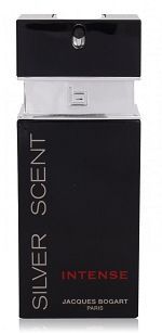 Silver Scent Intense Masculino Eau de Toilette 