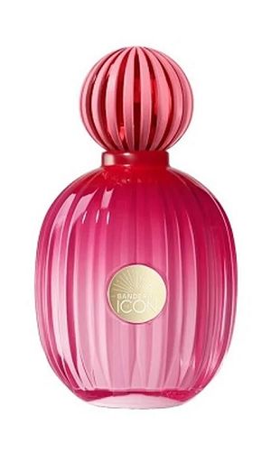 The Icon Antonio Banderas Feminino Eau de Parfum 